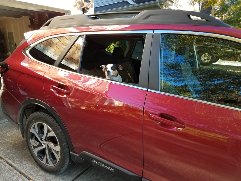 Enzo likes that the rear windows go fully down, but does not like that the car can go fast over bumpy roads